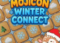 Mojicon Winter Connect